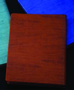 سالنامه وزیری ترمو رایکا | کد P02