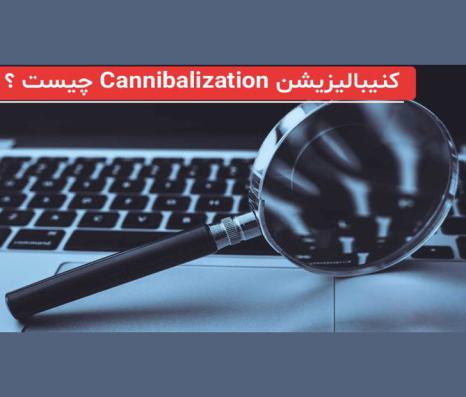 کنیبالیزیشن Cannibalization چیست ؟